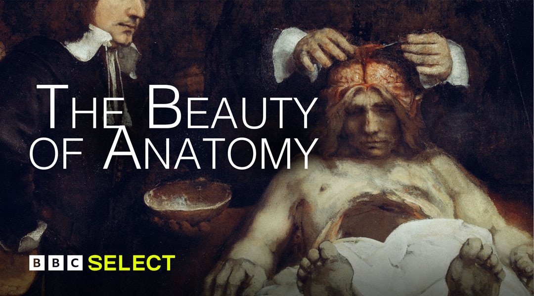 Stream The Beauty of Anatomy on BBC Select