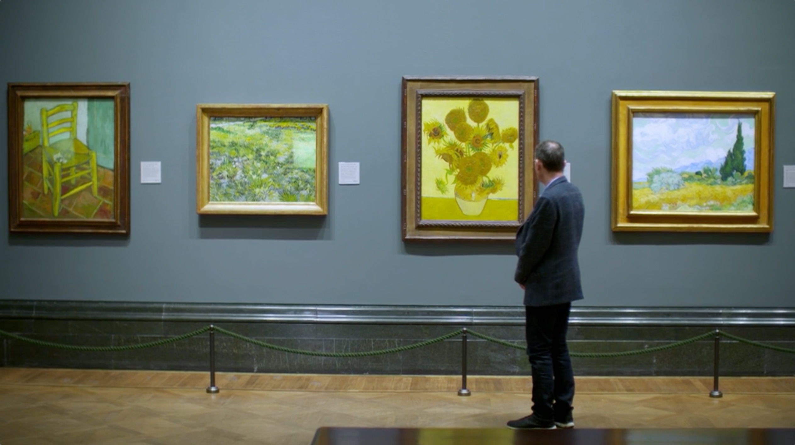 Andrew Marr looking at Sunflowers by Vincent Van Gogh