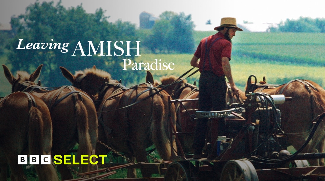 Gloomiest Dark on X: @Phant0mThieves @ThePhanSite I prefer the Amish Paradise though / X