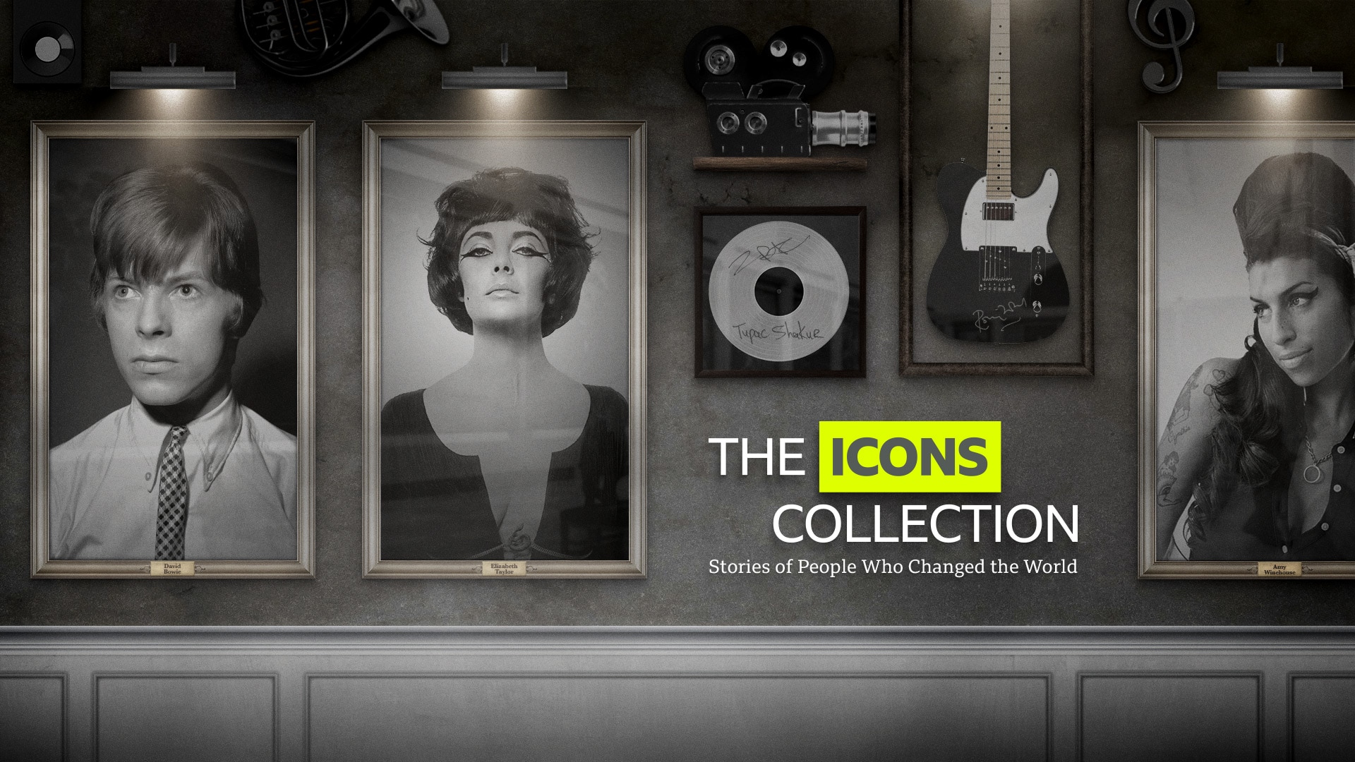 The Icons Collection of Documentaries