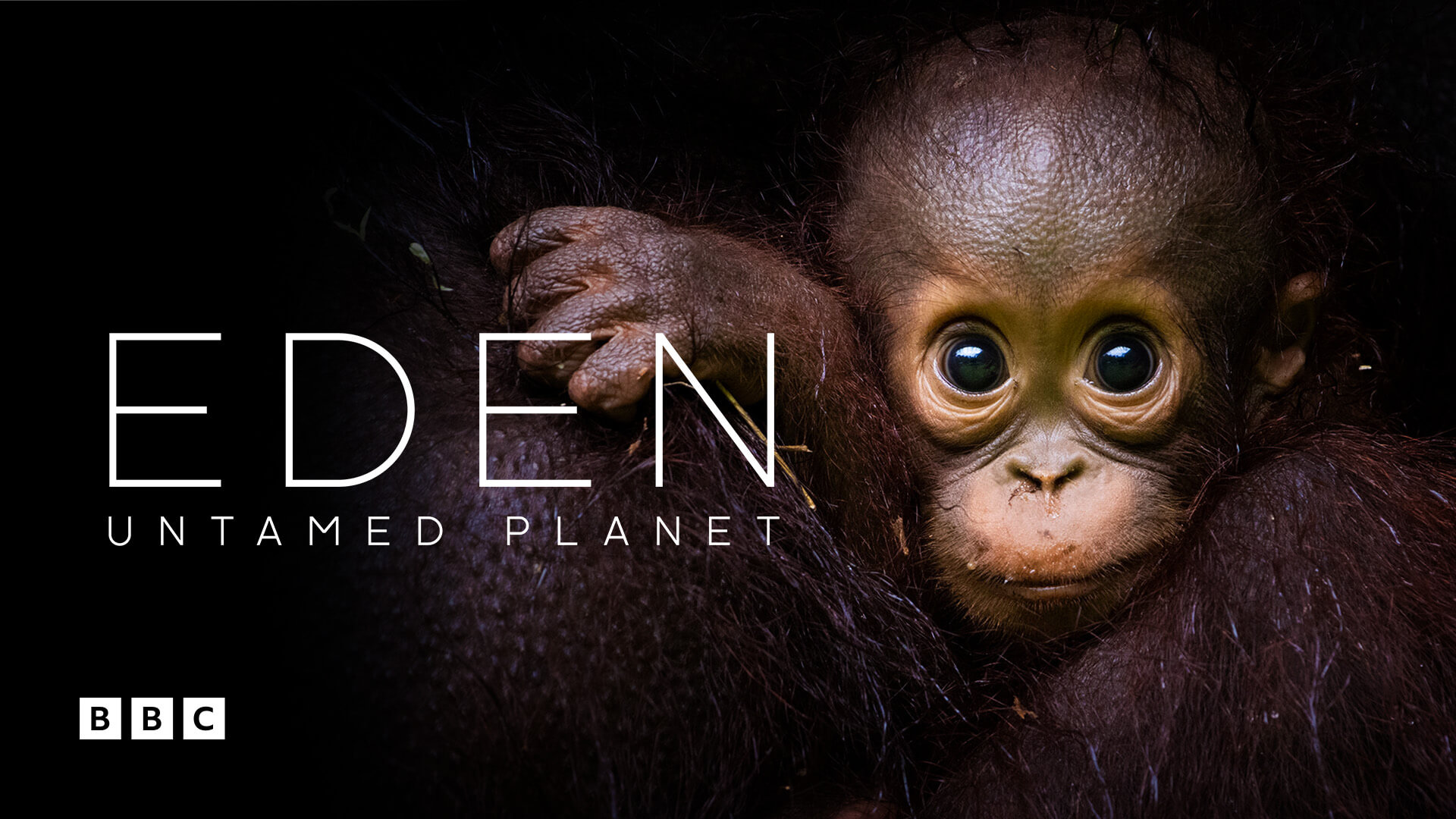 Eden: Untamed Planet