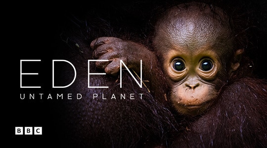 Eden: Untamed Planet