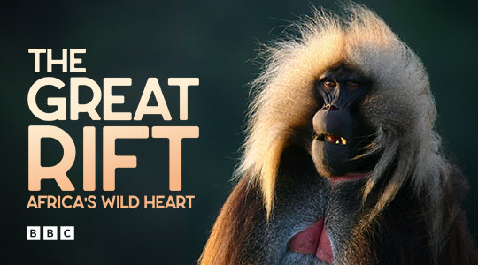 The Great Rift: Africa's Wild Heart