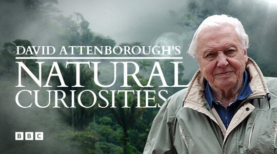 David Attenborough's Natural Curiosities