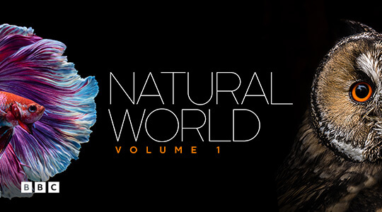 Natural world vol 1