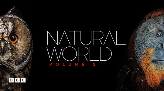natural world vol 2