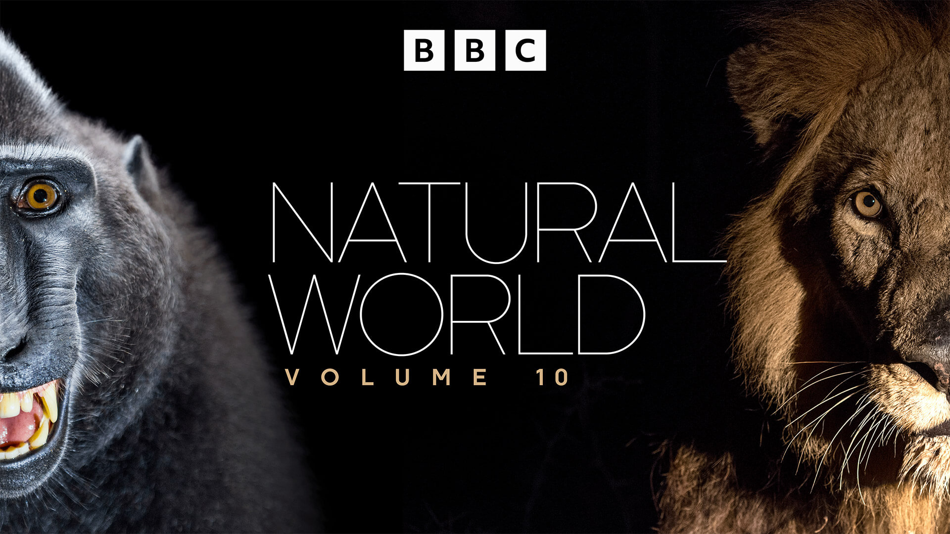Natural World Vol 10