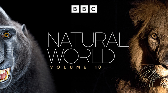 Natural World Vol 10