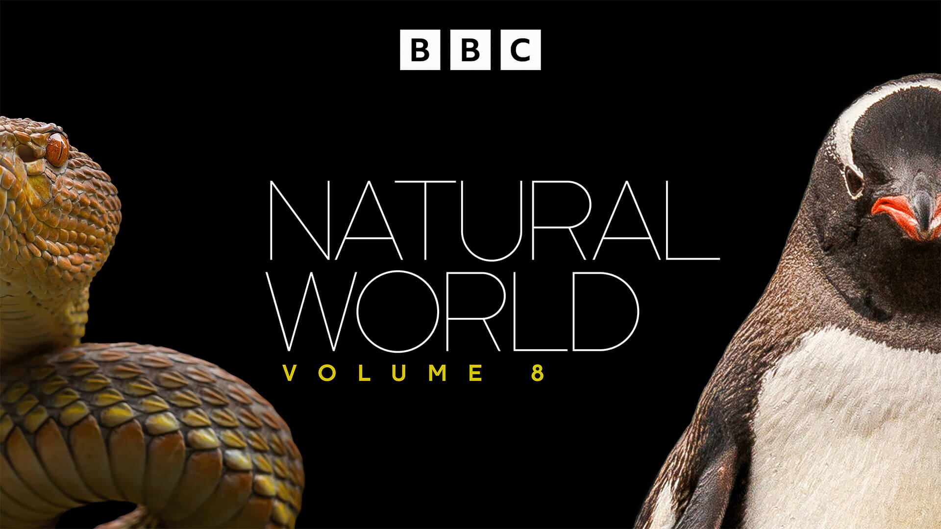 Natural World Vol 8