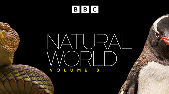 Natural World Vol 8