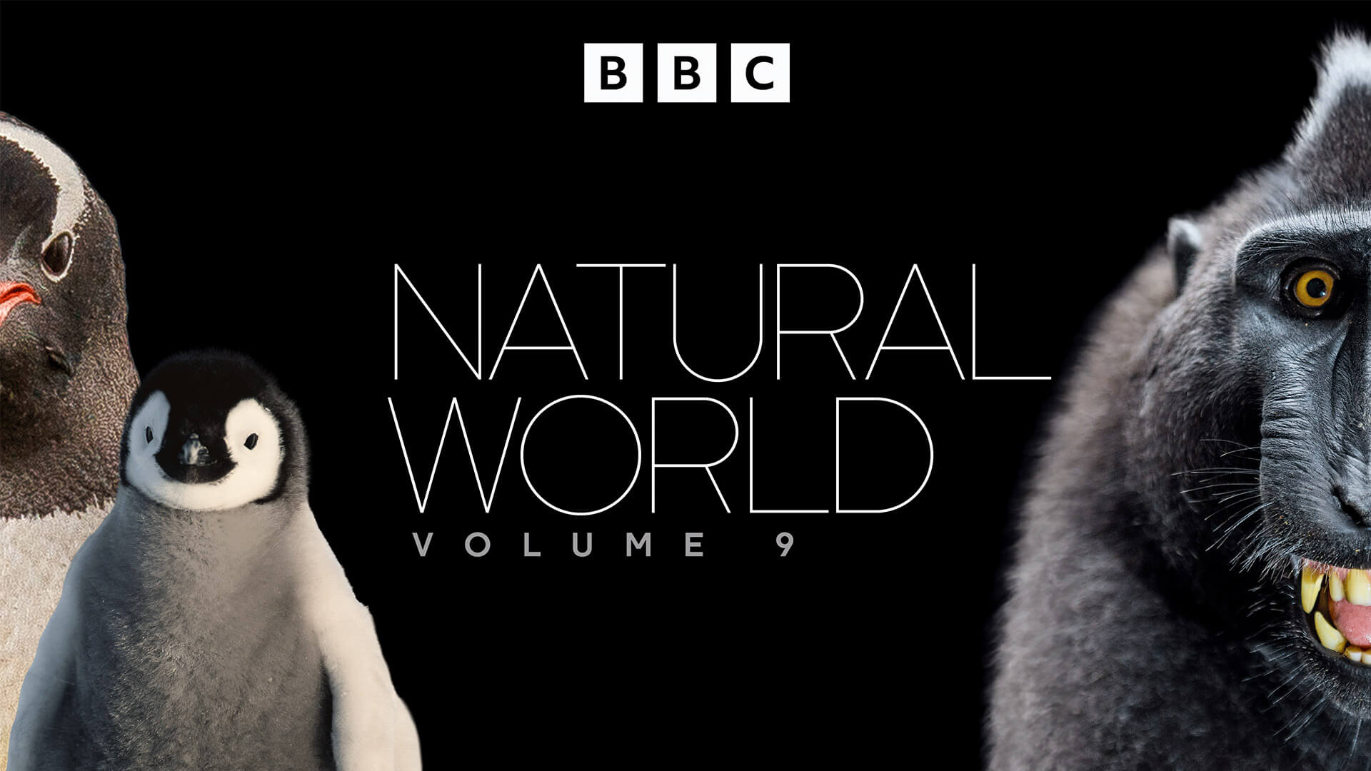 Natural World Vol 9