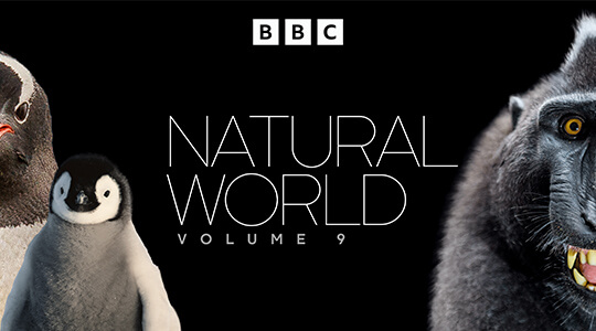 Natural World Vol 9