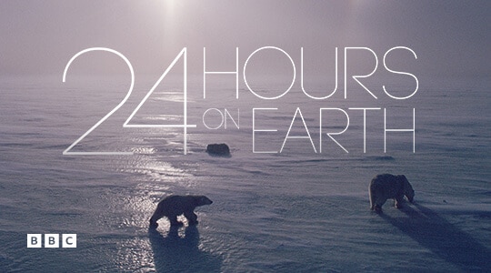 24 hours on earth