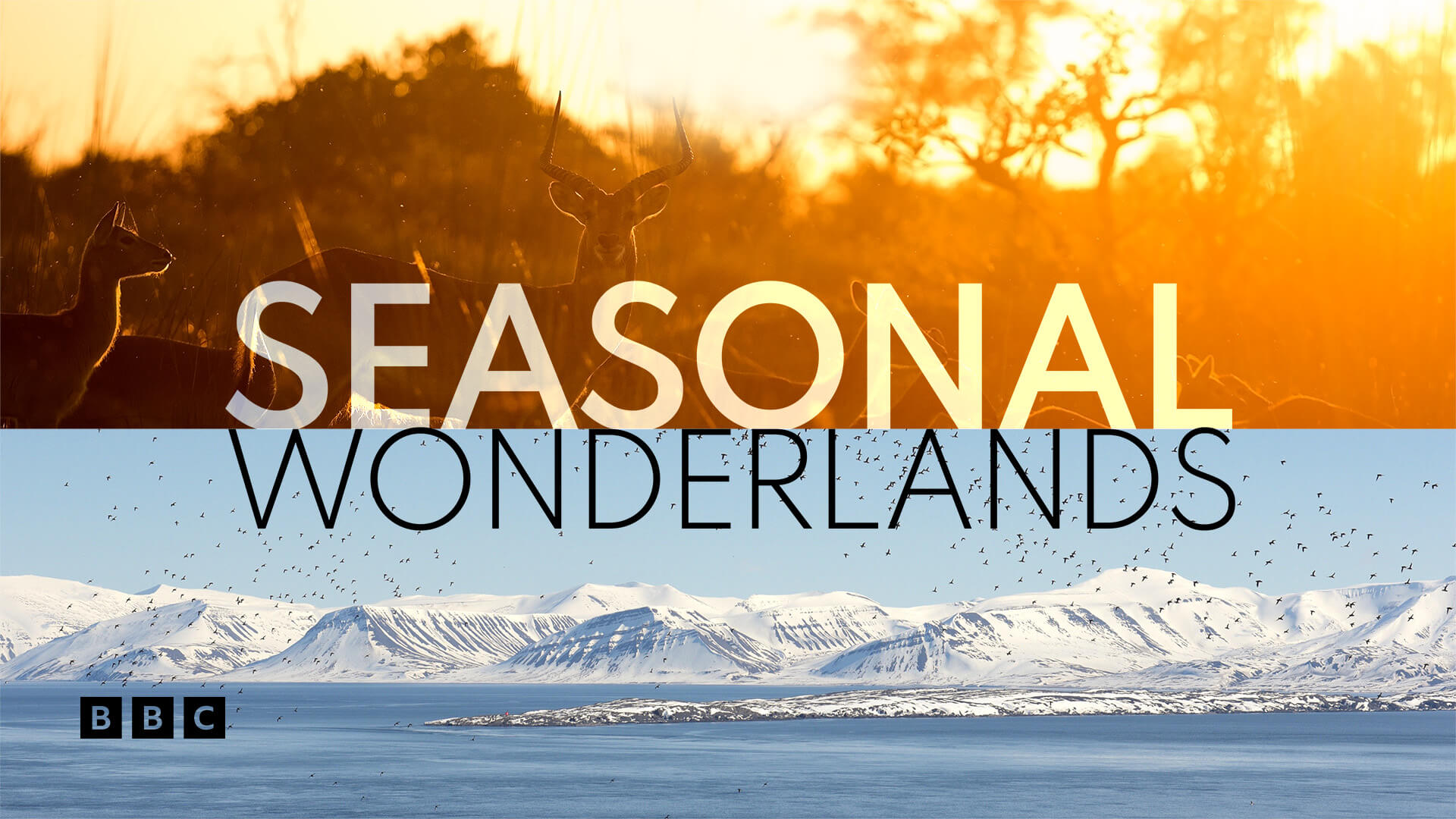 Seasonal Wonderlands