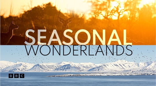 Seasonal Wonderlands