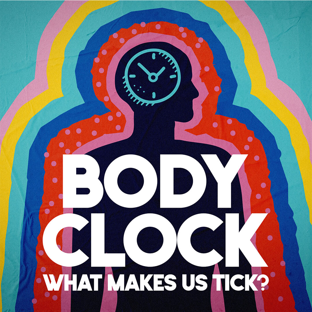 Body Clock Poster Watch Body Clock: What Makes Us Tick? on BBC Select