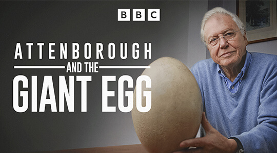 Attenborough and the Giant Egg