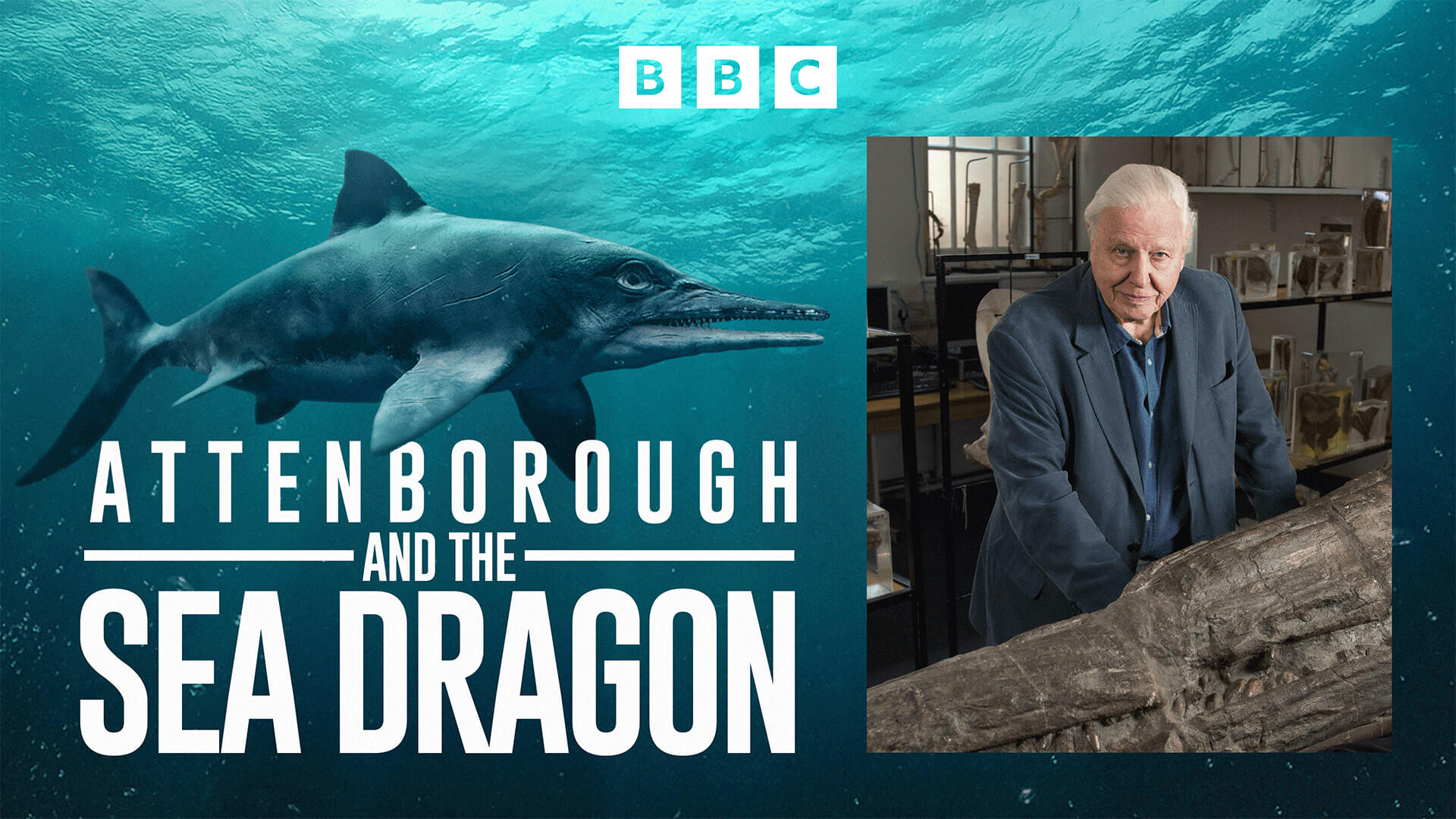 Attenborough and the Sea Dragon