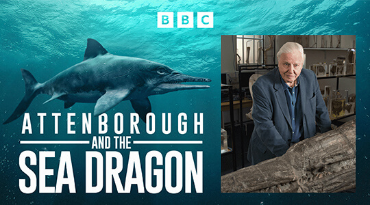 Attenborough and the Sea Dragon