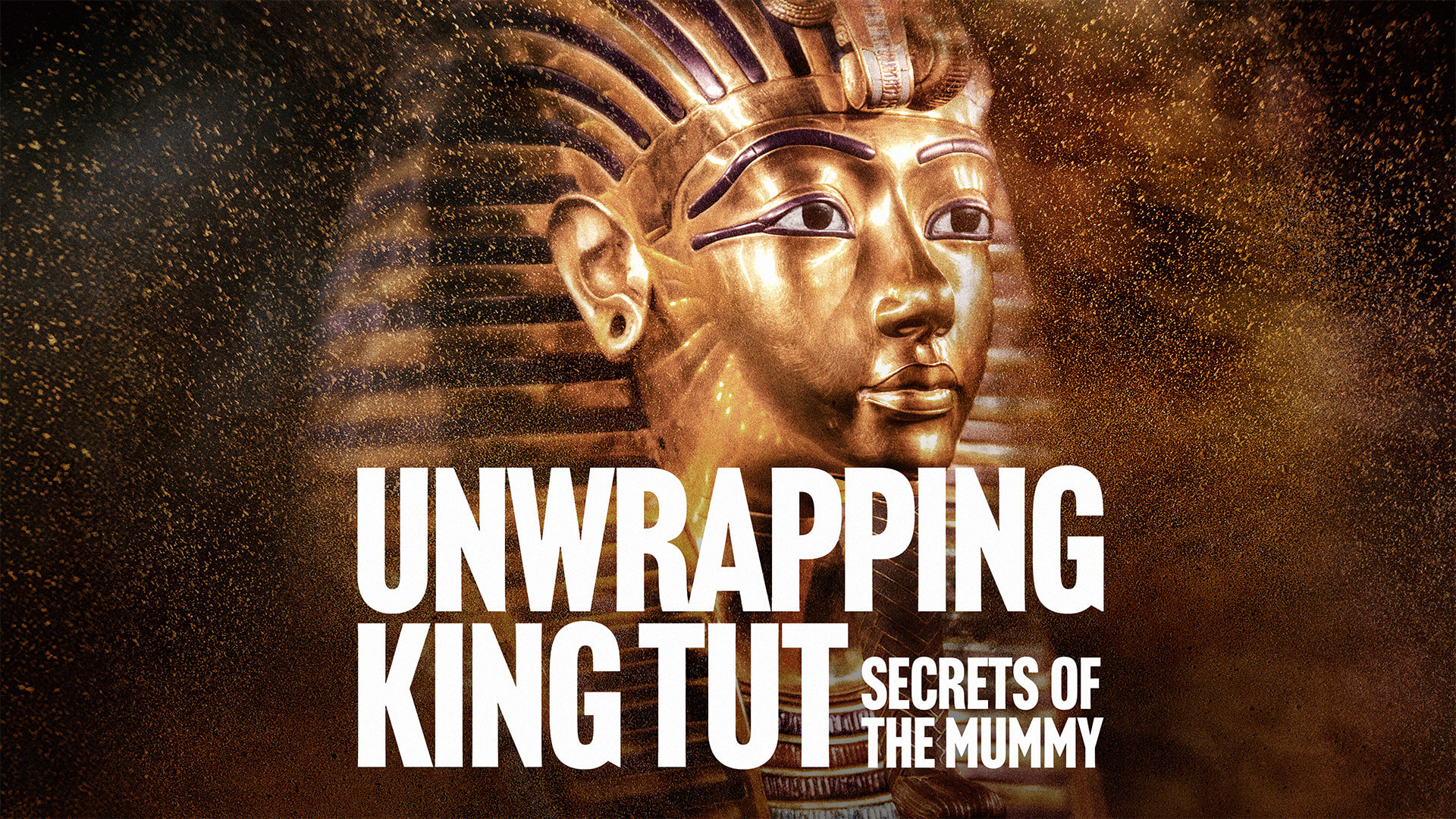 Unwrapping Tutankhamun: Secrets of the Mummy