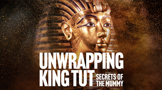 Unwrapping Tutankhamun: Secrets of the Mummy