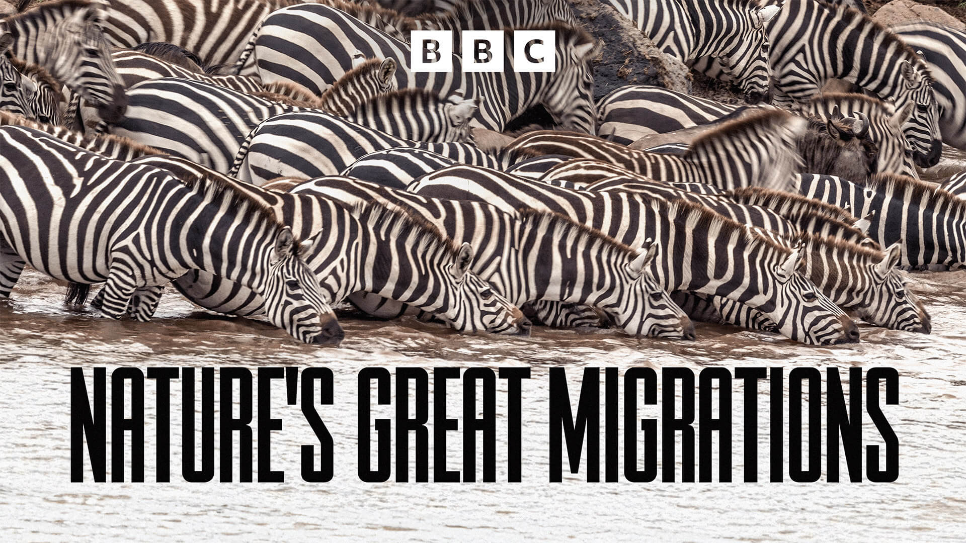 Nature's Great Migrations