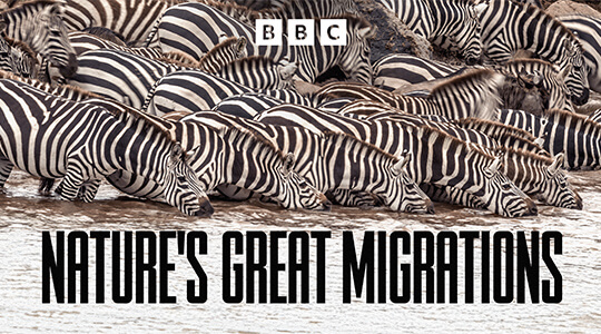 Nature's Great Migrations