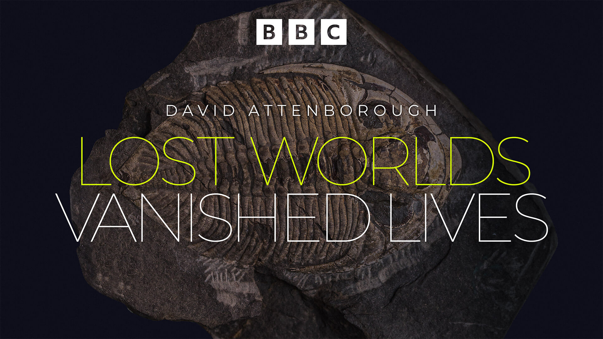 Lost Worlds Vanished Lives