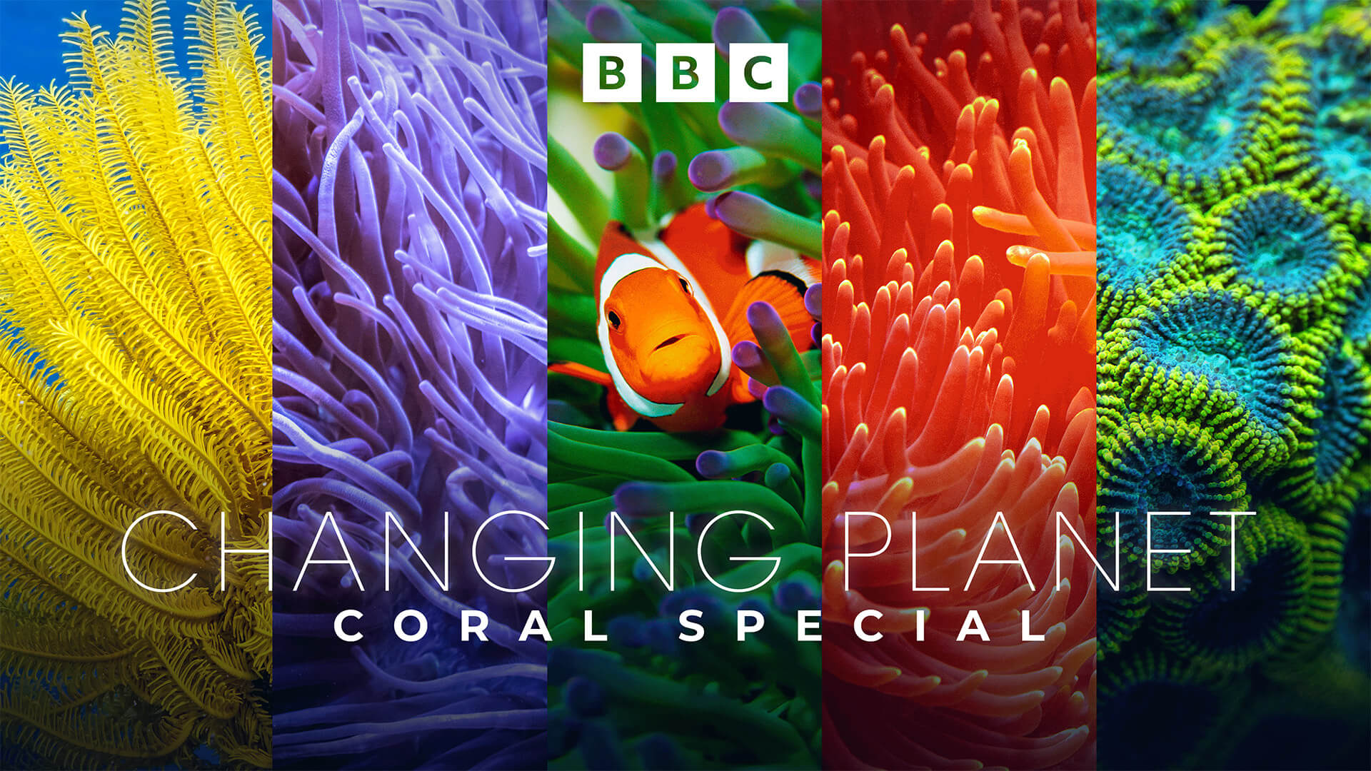 Changing Planet: Coral Special