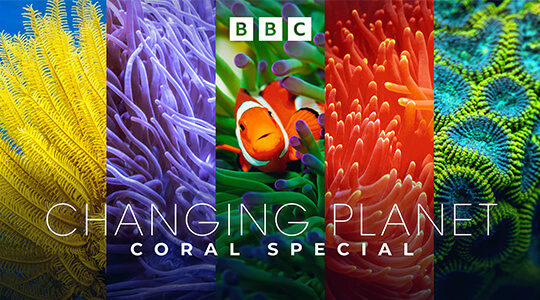 Changing Planet: Coral Special