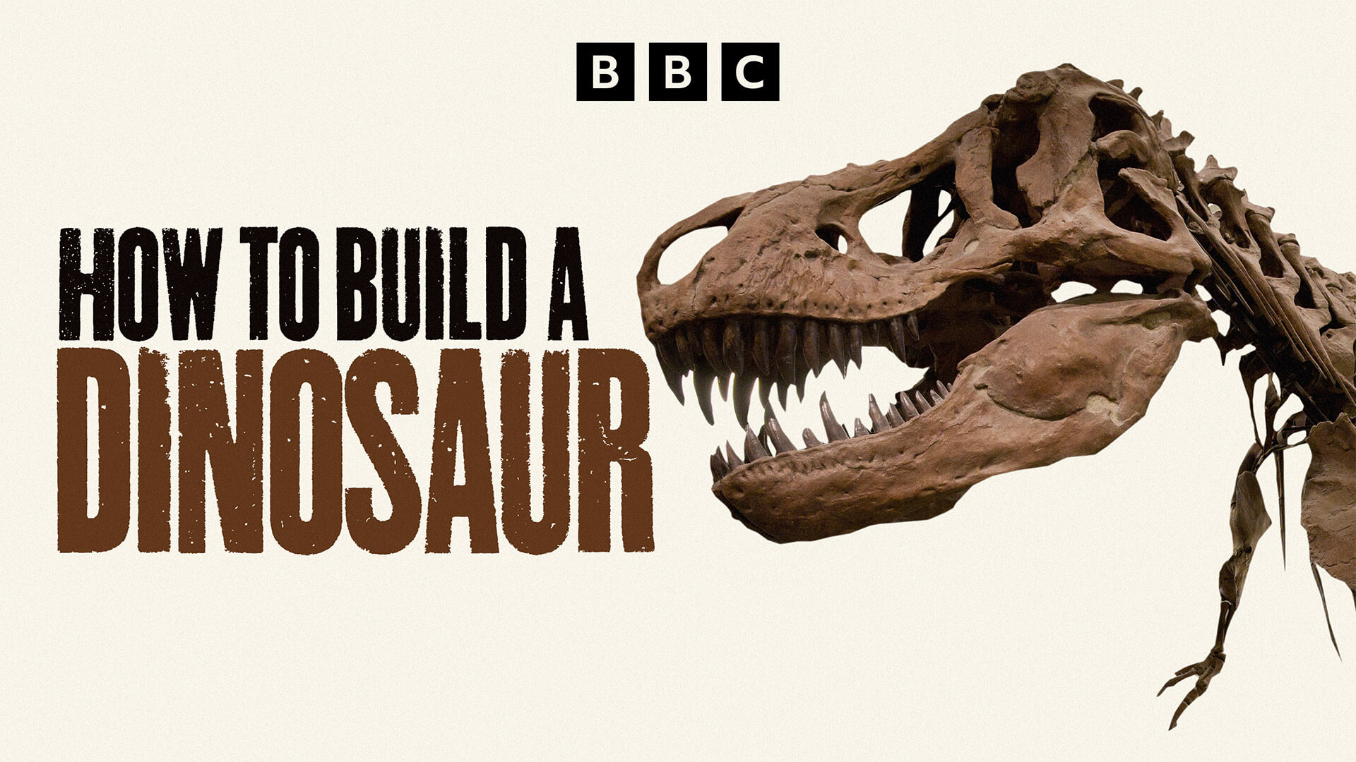 How To Build a Dinosaur