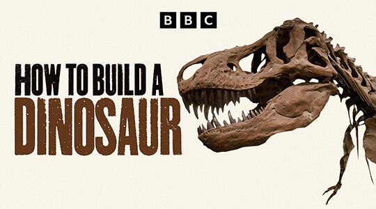 How To Build a Dinosaur