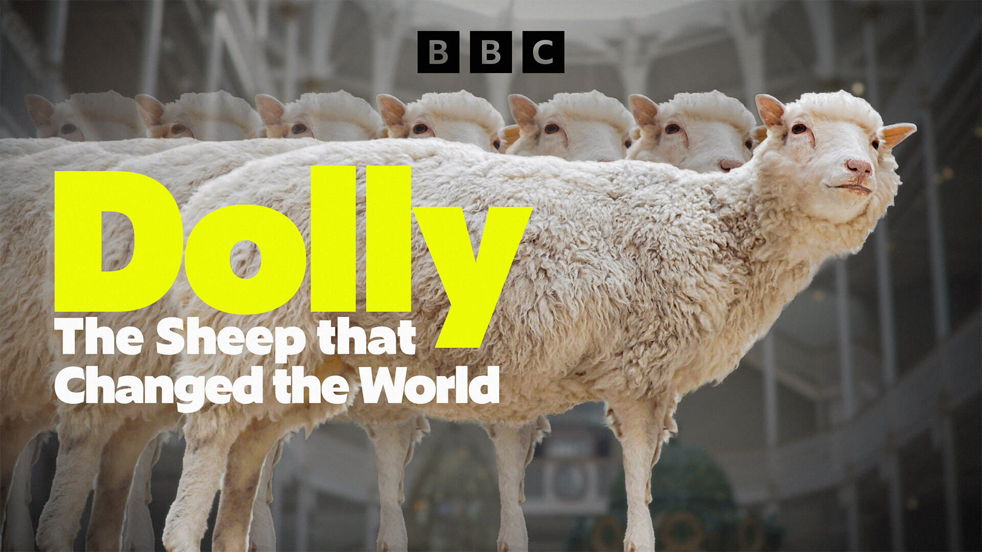 Dolly: The Sheep that Changed the World