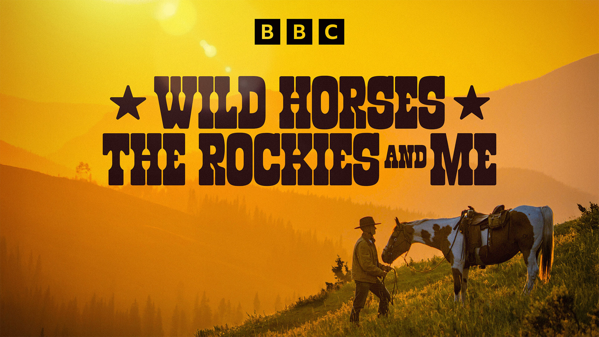 Wild Horses the Rockies and Me