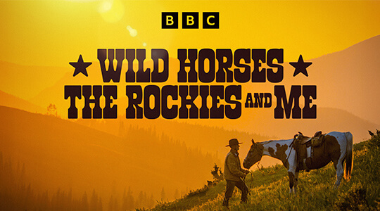 Wild Horses the Rockies and Me