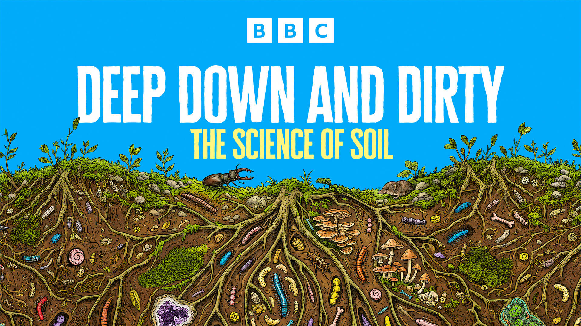 Deep Down and Dirty: The Science of Soil