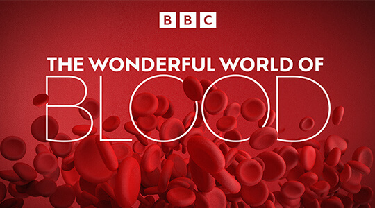 The Wonderful World of Blood