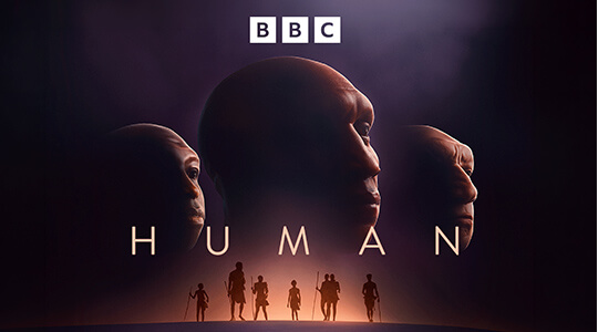 Human